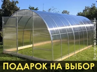 Теплица «УСИЛЕННАЯ ПЛЮС»