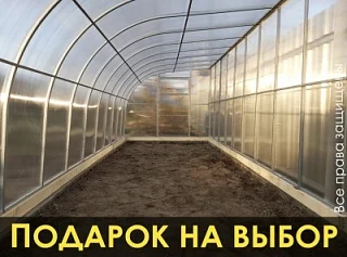 Теплица «ПРИСТЕНОК»