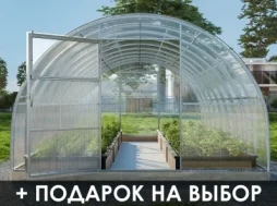 Теплица «СЕВЕРНАЯ-ДД» 3м Теплица «СЕВЕРНАЯ-ДД» 3м